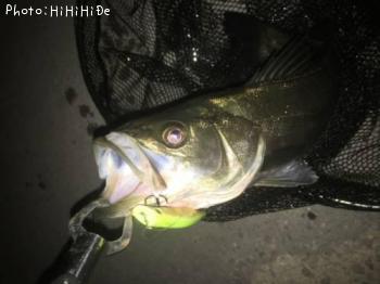 �����Х�