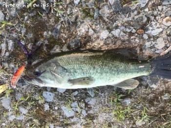 ¥Ö¥é¥Ã¥¯¥Ð¥¹