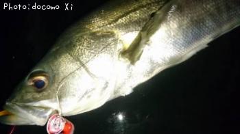 �����Х�