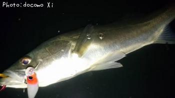 �����Х�