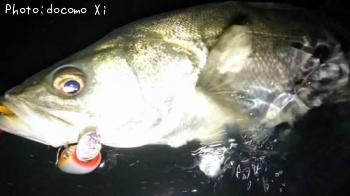 �����Х�