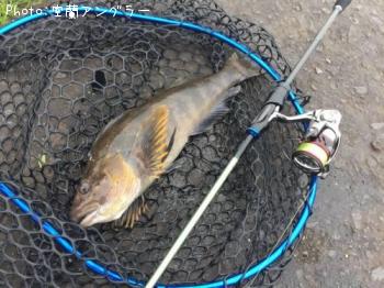 �����ʥ�