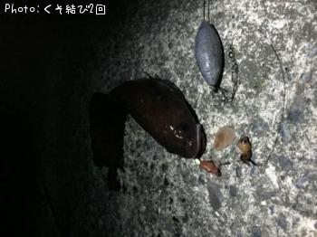 �ɥ�����