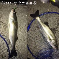 �����Х�