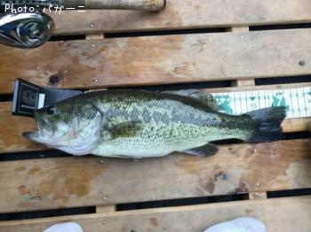 �֥�å��Х�