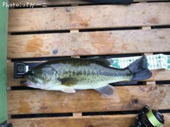 ¥Ö¥é¥Ã¥¯¥Ð¥¹