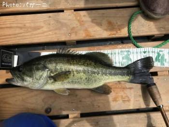 �֥�å��Х�