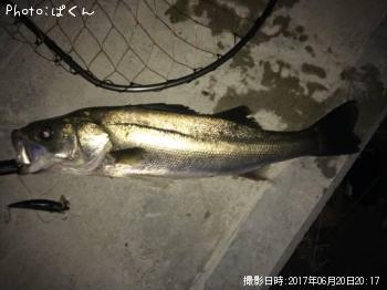 �����Х�