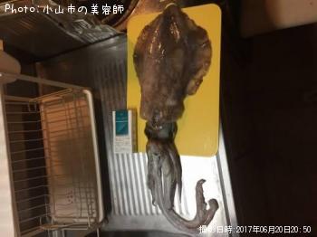 �����ꥤ��