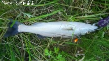 �����Х�