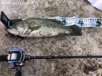 �֥�å��Х�