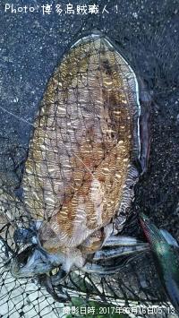 ¥«¥ß¥Ê¥ê¥¤¥«