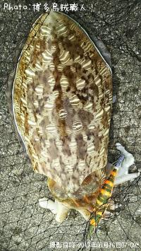 ���ߥʥꥤ��