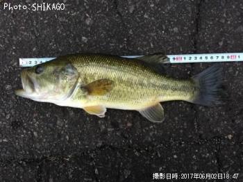 ¥Ö¥é¥Ã¥¯¥Ð¥¹