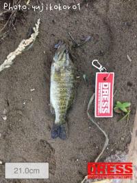 �֥�å��Х�