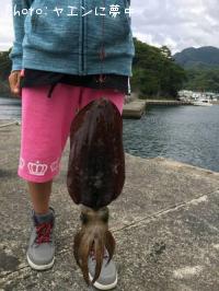 ¥¢¥ª¥ê¥¤¥«