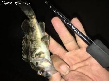 �����Υ���Х�