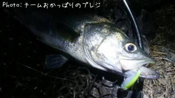 �����Х�