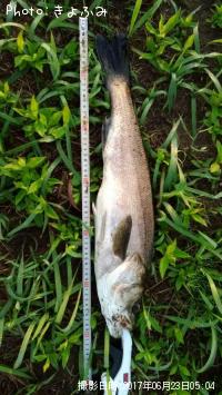 �����Х�