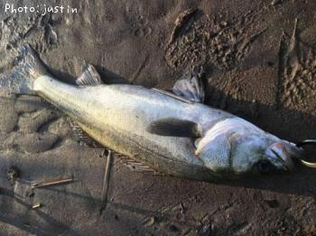 �����Х�