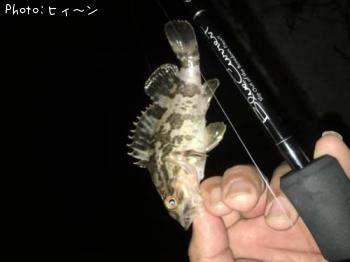 ¥¿¥±¥Î¥³¥á¥Ð¥ë