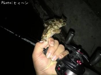 �����Υ���Х�