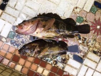 ¥¿¥±¥Î¥³¥á¥Ð¥ë¤È¥«¥µ¥´