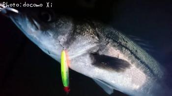 �����Х�