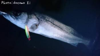 �����Х�