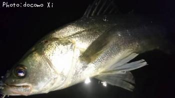 �����Х�