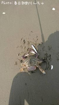 ¥ï¥¿¥ê¥¬¥Ë