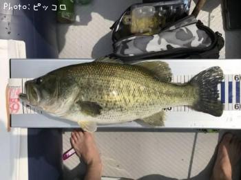 �֥�å��Х�