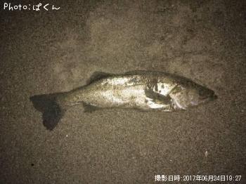 �����Х�