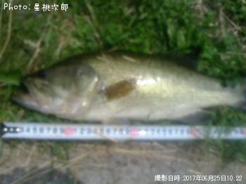 ¥Ö¥é¥Ã¥¯¥Ð¥¹