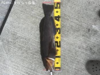 �����ʥ�