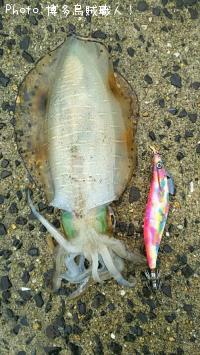 ¥¢¥ª¥ê¥¤¥«