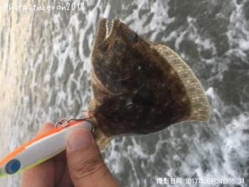 �ҥ��ʥ�����