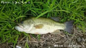 �֥�å��Х�