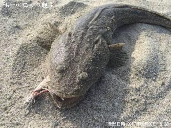�ޥ���