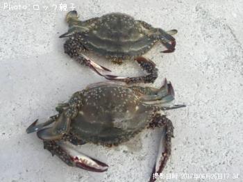 �勵�ꥬ���ˡ�