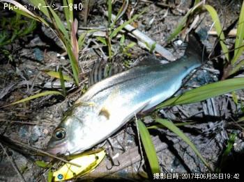 �����Х�