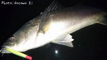 �����Х�