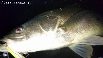 �����Х�