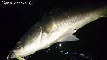 �����Х�