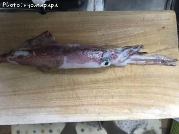 ���󥵥�����