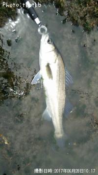 �����Х�