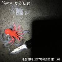 ¡ú¥Þ¥À¥³¡ú