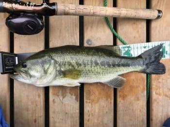 �֥�å��Х�