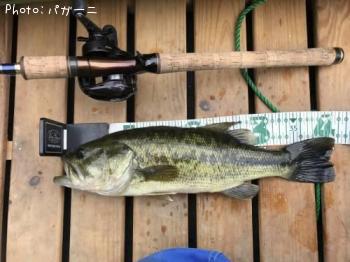 ¥Ö¥é¥Ã¥¯¥Ð¥¹