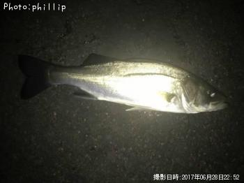 �����Х�